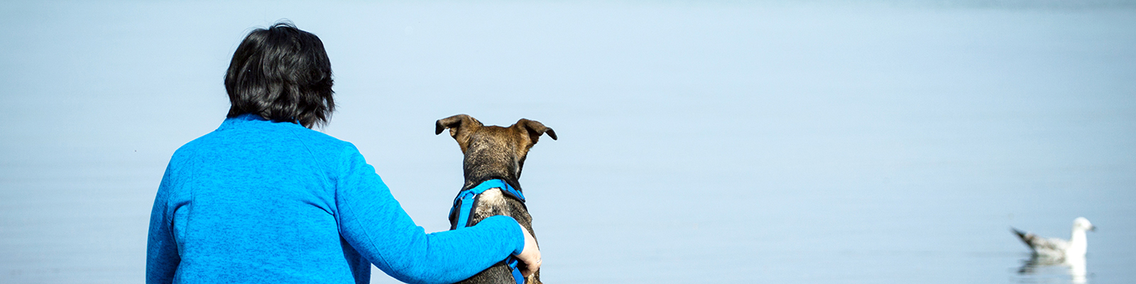 Hundeschule Dogsperience