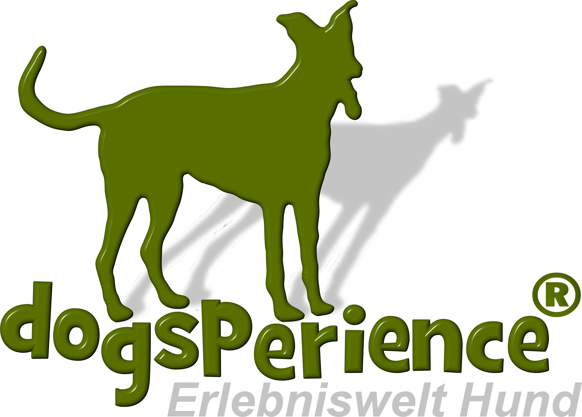 dogsperience
